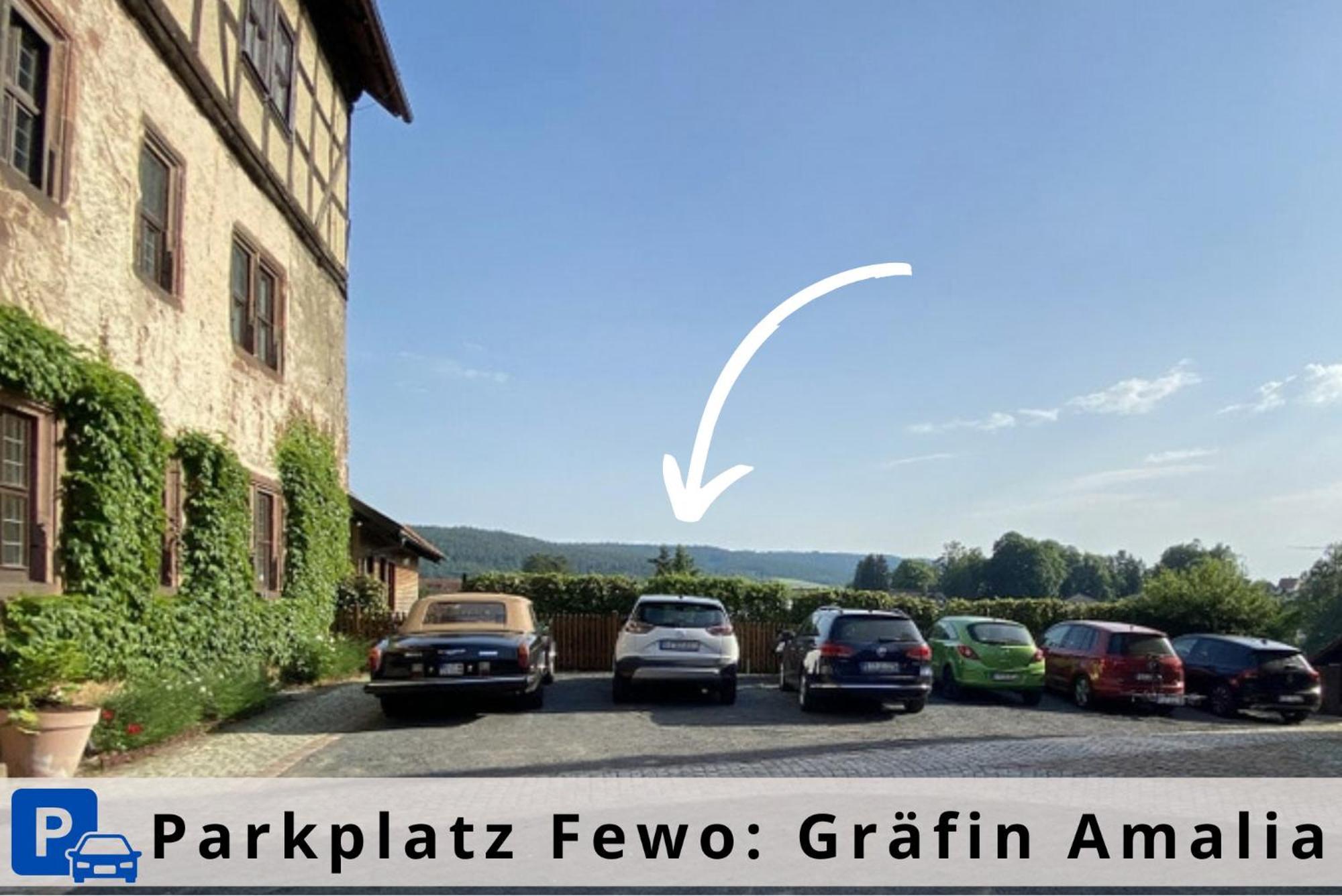 Graefin Amalia - Elegantes Apartment In Der Historischen Hinterburg In Schlitz, 2 Schlafzimmer, Mit Garten, Nahe Fulda Und Bad Hersfeld Exteriér fotografie